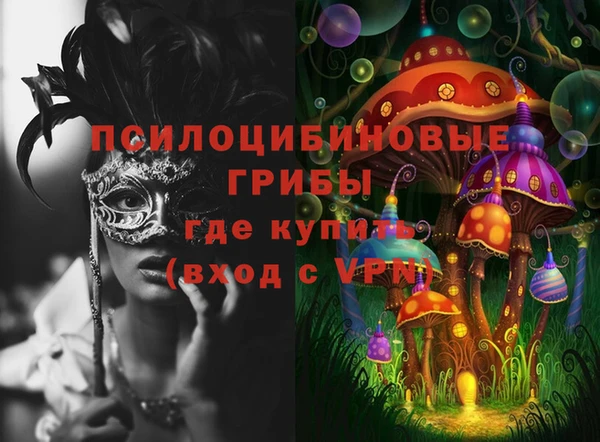 PSILOCYBIN Майский