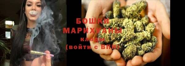 прущие грибы Магас