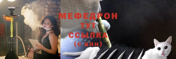 прущие грибы Магас