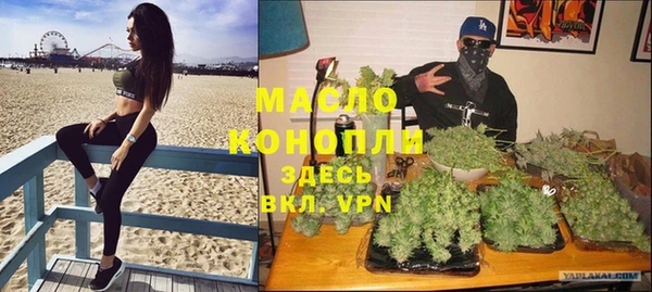 прущие грибы Магас
