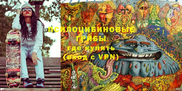 PSILOCYBIN Майский