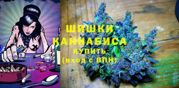 PSILOCYBIN Майский