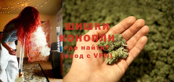 PSILOCYBIN Майский