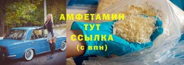 PSILOCYBIN Майский