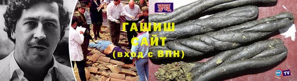 прущие грибы Магас