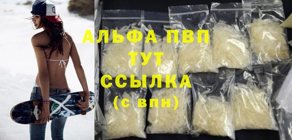 PSILOCYBIN Майский