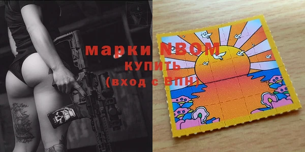 PSILOCYBIN Майский