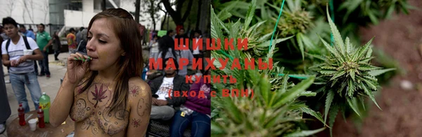 PSILOCYBIN Майский