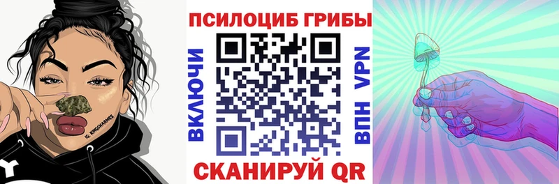 shop наркотические препараты  Раменское  Псилоцибиновые грибы Cubensis 